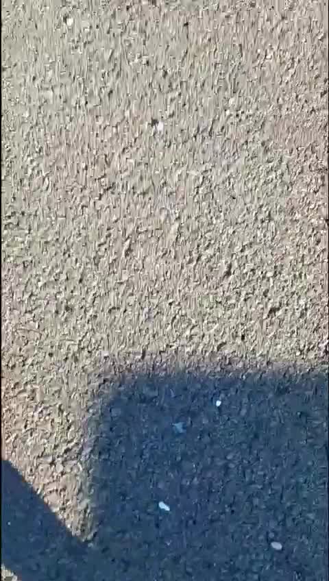 WhatsApp Video 2023-10-19 at 14.11.07_1.mp4